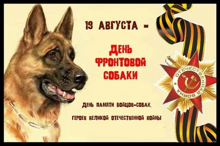 3407f5ee-d5df-4cbe-83cd-8942161568b3