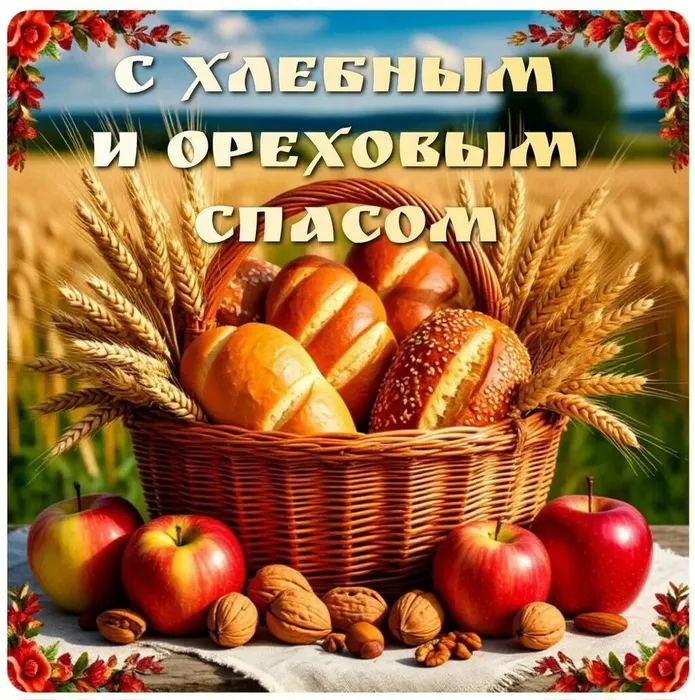 54423f23-486a-4af5-9d29-e0aca424a051