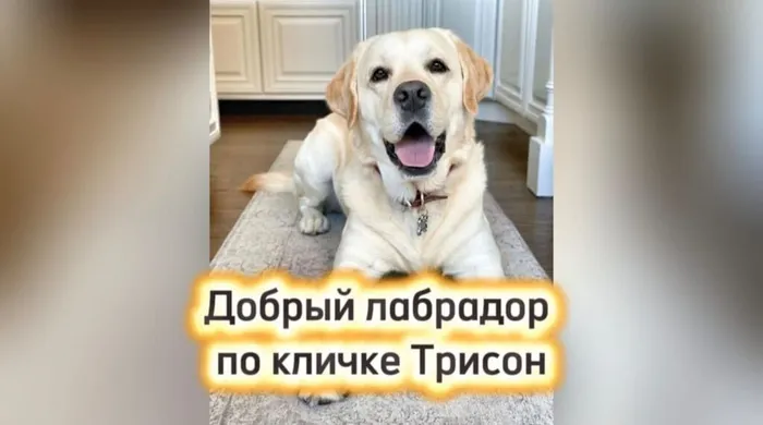 WhatsApp Image 2025-11-27 at 15.02.41