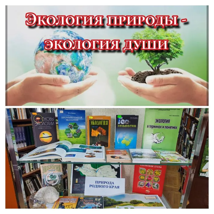 WhatsApp Image 2025-11-19 at 15.03.56 (1)