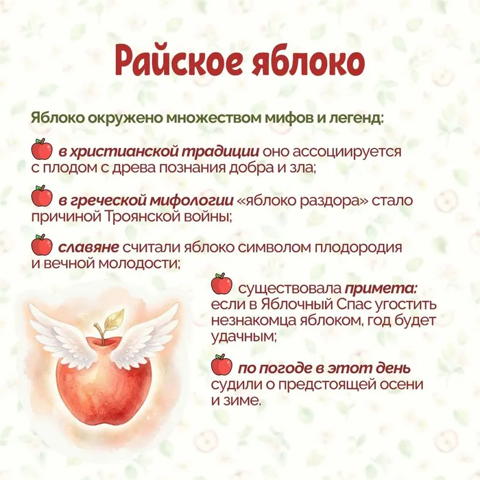 e2d602e5-301d-4831-a1c4-f946f06baf58