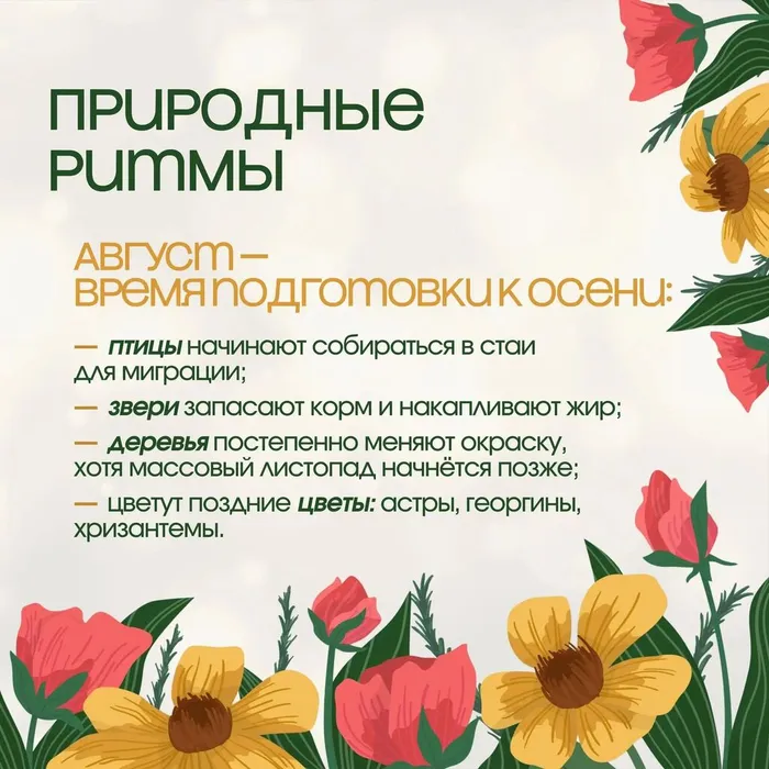 77a63c97-5c76-4d03-8d33-79d145613ae3